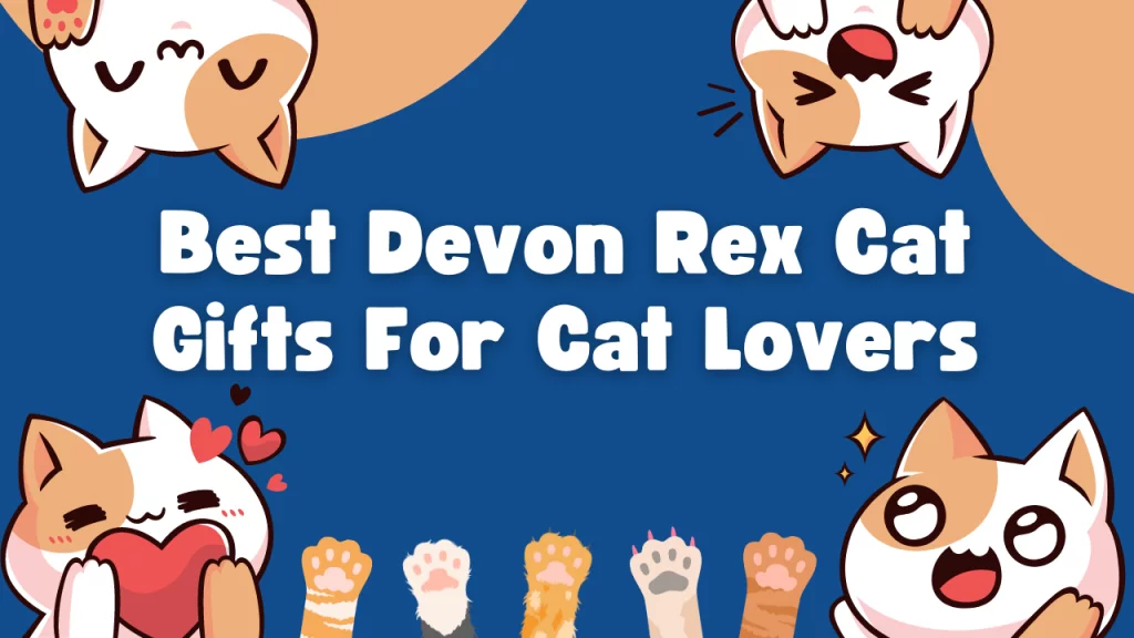 Best Devon Rex Cat Gifts For Cat Lovers