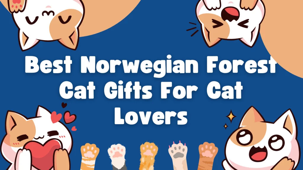 Best Norwegian Forest Cat Gifts For Cat Lovers