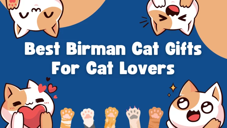 Best Birman Cat Gifts For Cat Lovers