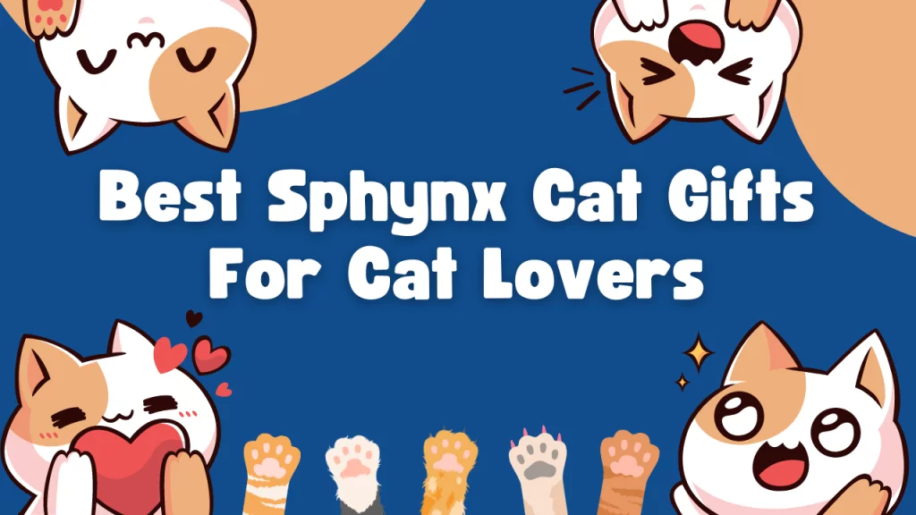 Best Sphynx Cat Gifts For Cat Lovers