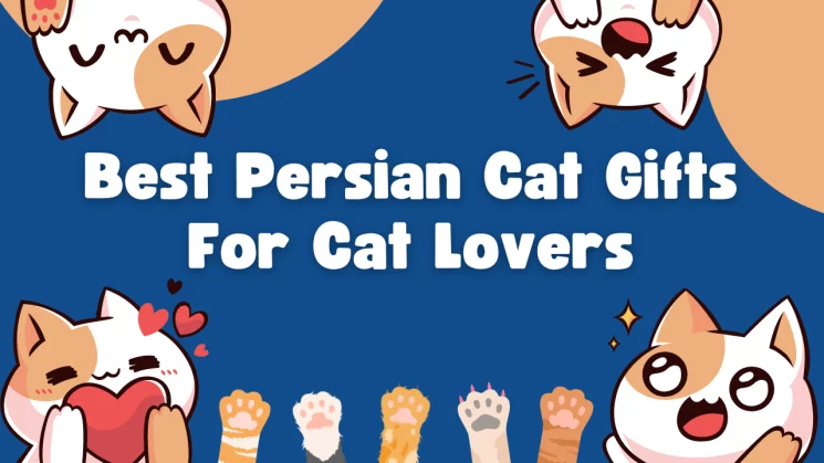 Best Persian Cat Gifts For Cat Lovers